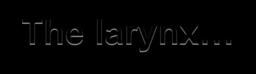 The larynx The larynx, commonly