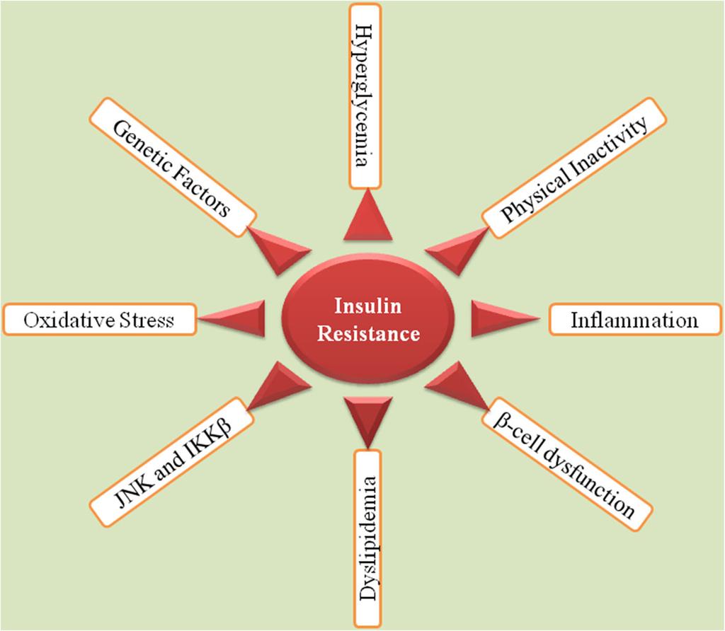Rehman and Akash Journal of Biomedical Science (2016) 23:87 Page 2 of 18 Background Insulin resistance (IR) has long been considered as a major hallmark for the etiology and pathogenesis of type 2