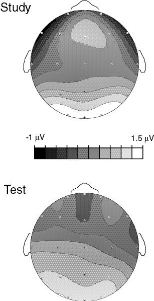 GONSALVES & PALLER 13 Figure 4. Topographic representation of the ERP task effect at study and at test.