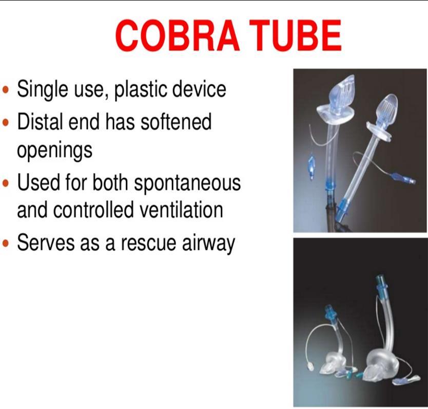 and laryngeal tube during Mechanical