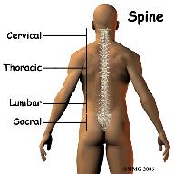The procedure is used to destroy the end of the small nerves that provide sensation to the facet joints.