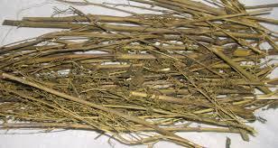 It has rhizomes & branches of reeds shape, when the stem is broken, white coloured seeds are obtained, which are called as Zarirah.
