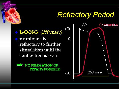 The long refractory period means that cardiac muscle cannot be restimulated until contraction is almost over & this makes summation (& tetanus) of cardiac