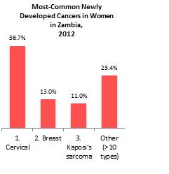 Zambia Case Study Status of Cervical Cancer Zambia has the second highest prevalence and highest mortality
