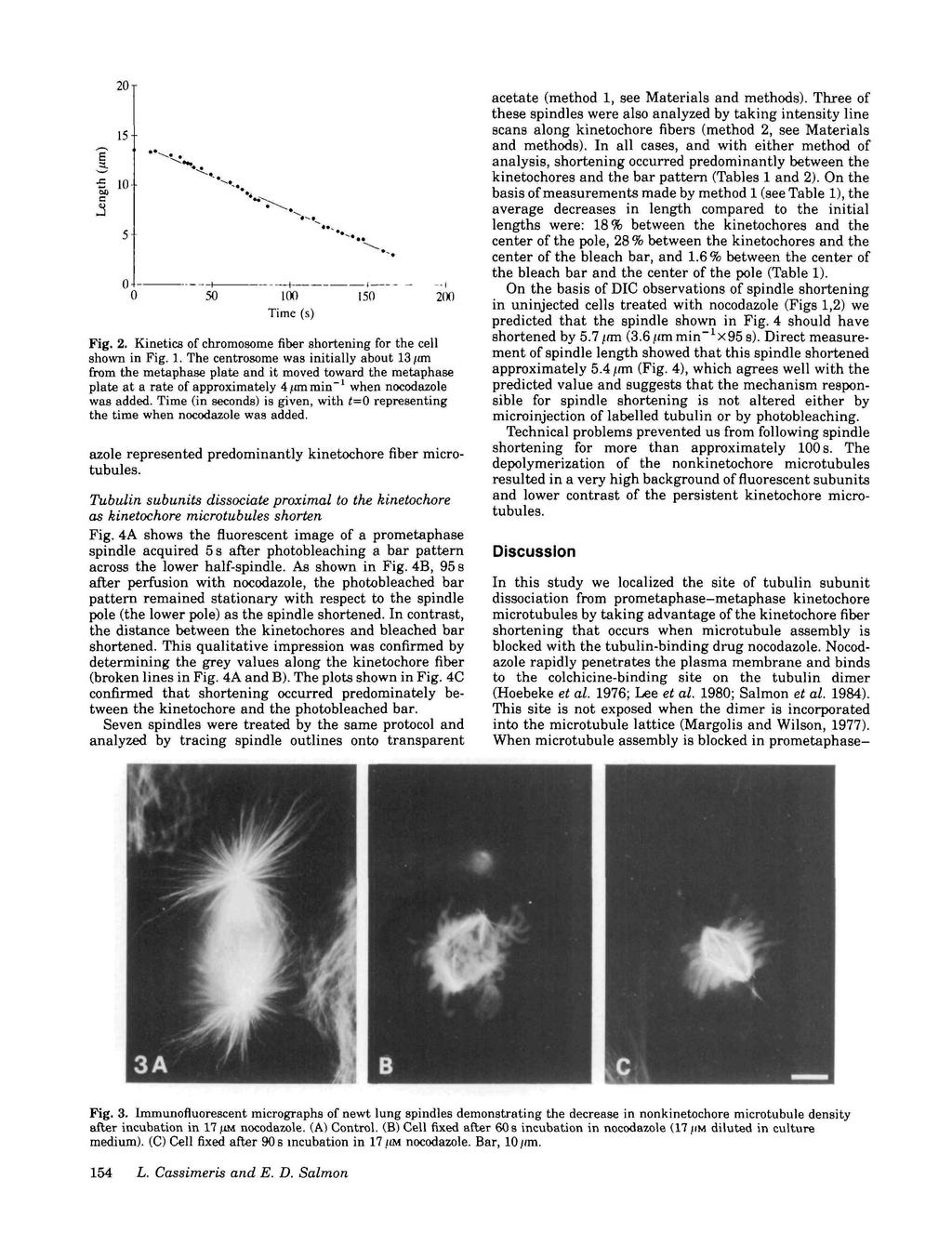 2 T 15-1 + 4 5 1 Time (s) 15 2 Fig. 2. Kinetics of chromosome fiber shortening for the cell shown in Fig. 1. The centrosome was initially about 13/an from the metaphase plate and it moved toward the metaphase plate at a rate of approximately 4/anmin" 1 when nocodazole was added.