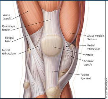 Anterior Knee Medial Knee Lateral Knee Knee: