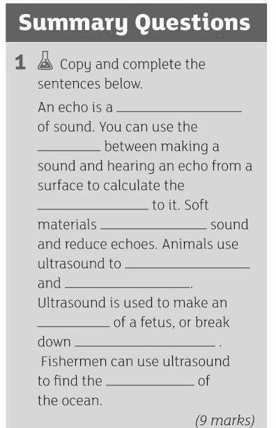 In this activity you will learn about the usefulness of echoes.