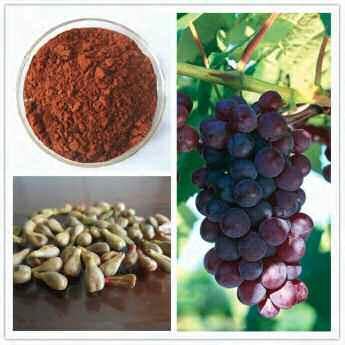 vinifera) (min. 30% Polyphenols) Daily Value not established.