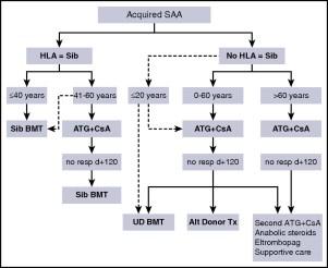 Treatment strategy in patients with acquired aplastic anemia.