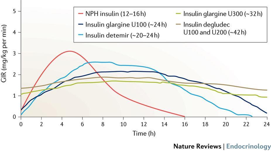 Basal Insulin Analogs towards flatter, longer, and more consistent