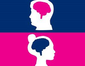 Sexual differentiation of the brain related to