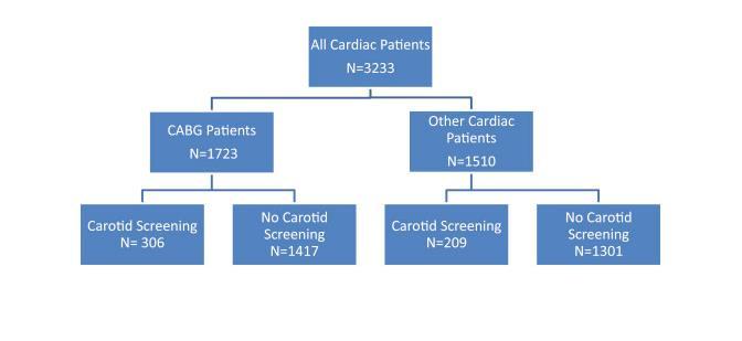 Do We Need Carotid Screening in Asymptomatic