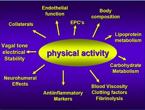 PHYSICAL ACTIVITY IS