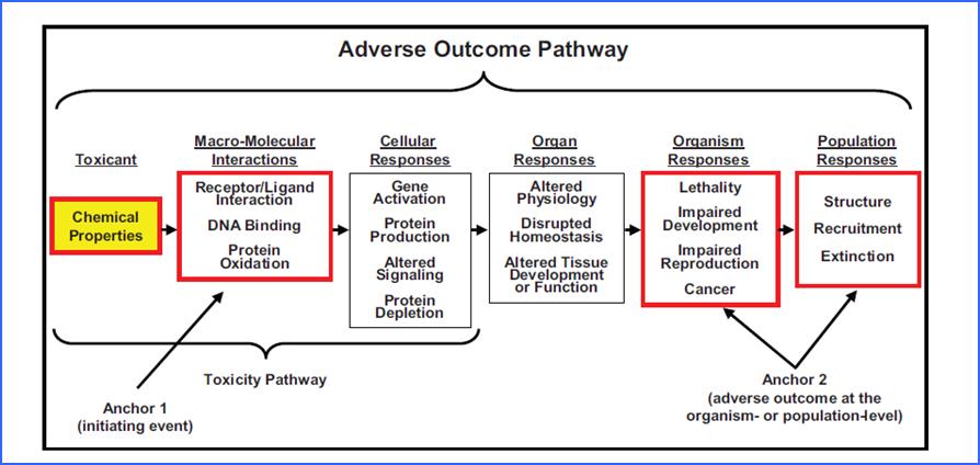 Adverse Outcome Pathway (AOP) An Adverse Outcome Pathway (AOP) is a conceptual construct that describes a sequential chain of causally linked events starting on molecular level and leading through