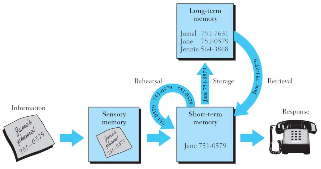 The Modal Model of memory (Atkinson & Shiffrin, 1968; Waugh & Norman, 1965) 3 modes of memory based on duration (how long), capacity (how much), and coding (what is stored) sensory memory 1-2