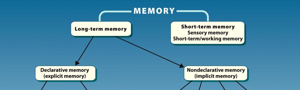Cognitive Neuroscience of Memory Types and Structure of Memory Types of Memory Type of Memory Time Course Capacity