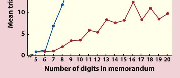 digit spans requiring new Long term memoies Atkinson-Shiffrin (1968) Modal Model