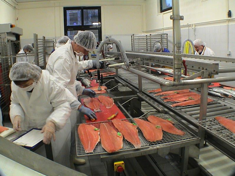 Cold smoked salmon : a model for biopreservation studies Contamination by L.