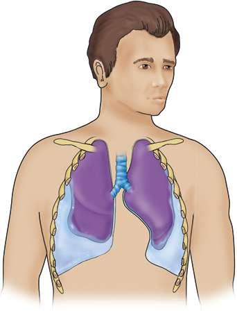 breath sounds over region of the chest where fluid has moved