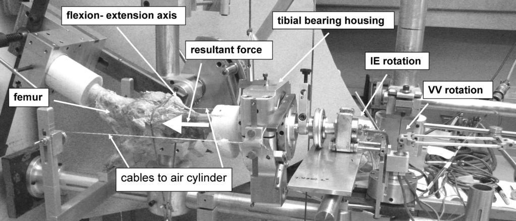 90 MARKOLF ET AL. Figure 1. Test apparatus for application of axial tibial force during a knee flexion extension cycle.