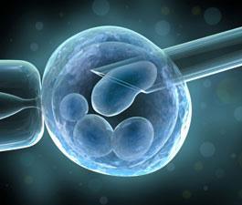 Current Methods of Embryo