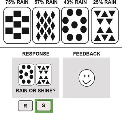 Weather prediction task Materials: four cards unknown to participants, each predicts rain or shine with a certain probability Task: See one, two, or three cards (S) Predict rain or shine (R)