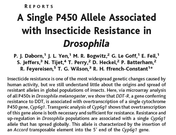 pesticides Amino acid substitution in the acetylcholinesterase (Ace) gene All resistant strains (different subspecies) of the mosquito Culex pipiens have the same amino acid substitution glycine -->