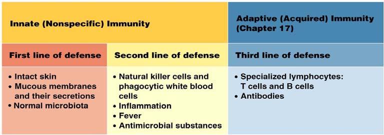 Nonspecific Defenses of the Host Susceptibility: Immunity: Ability to ward off disease. Innate immunity: Adaptive ( ) immunity: Immunity, resistance to a specific pathogen.