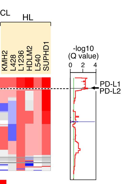 9p24.1 Amplification and PD-1 Ligand Cell Surface Expression in Classical Hodgkin