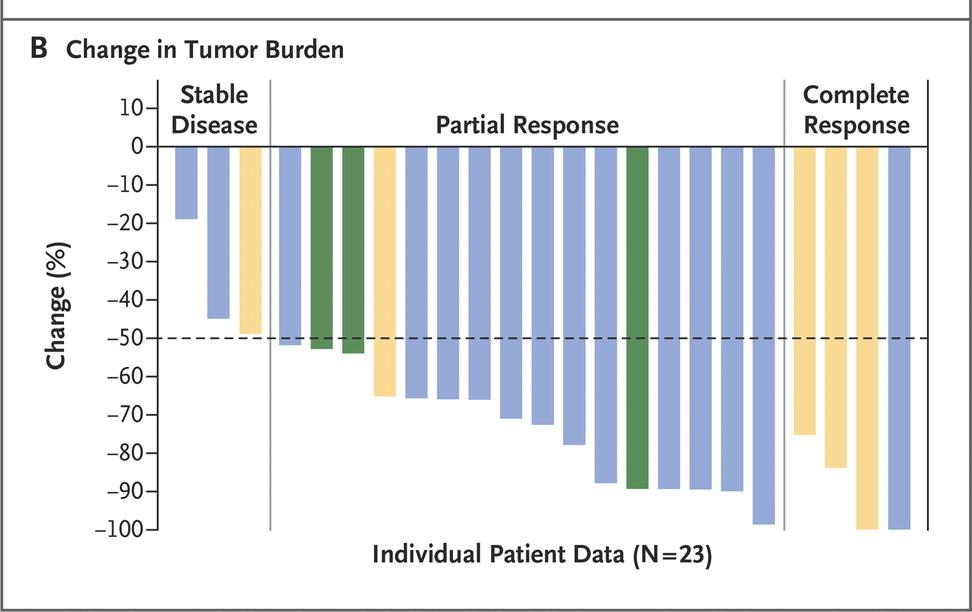 Majority of Patients Relapsed/ Refractory CHL Respond to PD-1 Blockade Nivolumab (anti-pd1, BMS): ORS= 87% Pembrolizumab (anti-pd1,
