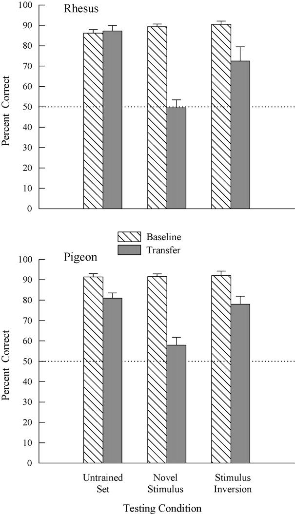 280 A.A. Wright, M.T. Lickteig / Learning and Motivation 41 (2010) 273 286 Fig. 4. Baseline and transfer test results for rhesus monkeys and pigeons.