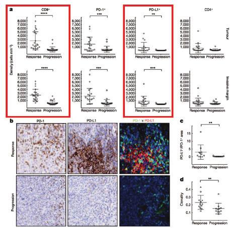 IFNγ-Related mrna Profile Predicts Clinical Response to PD-1 Blockade 1 FFPE tumor tissue collected at baseline before receiving pembrolizumab RNA NanoString platform 1. Ayers M et al. J Clin Invest.