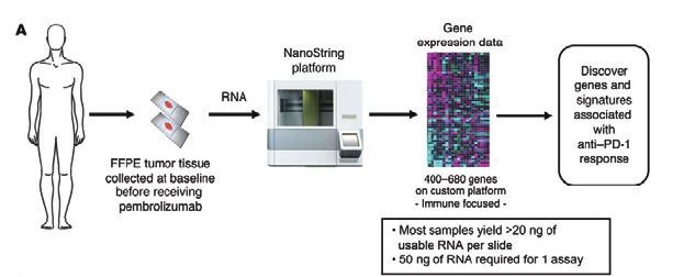 Gene expression data Discover genes and signatures associated with anti PD-1 response 4-68 genes on custom platform Immune Most focused samples yield >2 ng of usable RNA per slide 5 ng of RNA