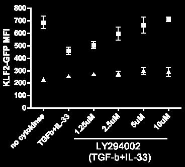 TGF-β nd IL-33 induce loss of KLF2 expression in PI3K/Akt dependent pthwy.