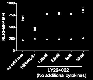 () Splenocytes were cultured with TGF-β nd IL-33 (grey) or no dditionl cytokines (lck) (set s one) for 1-4 hours (n=11-13 from t lest 4
