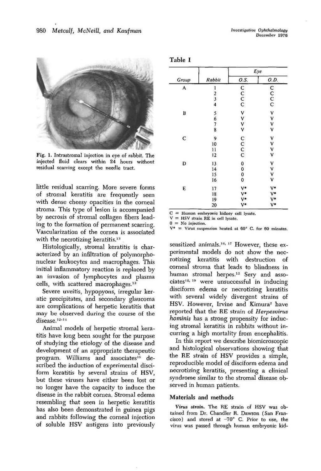 98 Metalf, MNeill, and Kaufman Investigative Ophthalmology Deember 1976 Table I Fig. 1. Intrastromal injetion in eye of rabbit.