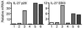 TLR signalling may not be involved in all forms of chronic murine colitis Mechanism T-cell-mediated Colitis - Model x IL2-/- CD4 +
