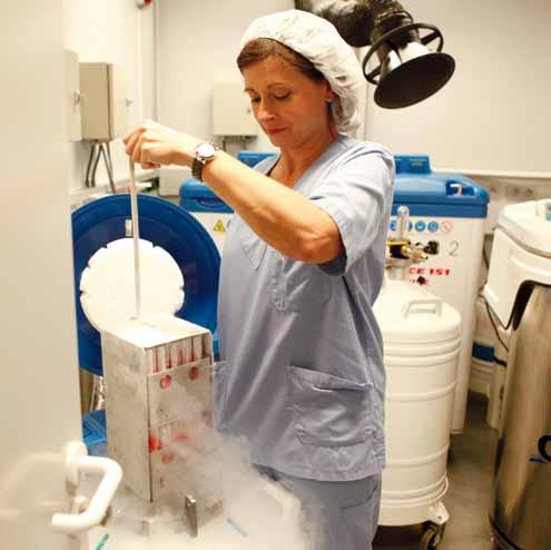 Advances are continually being made in cryopreservation techniques with the aim of improving survival and viability rates after thawing.