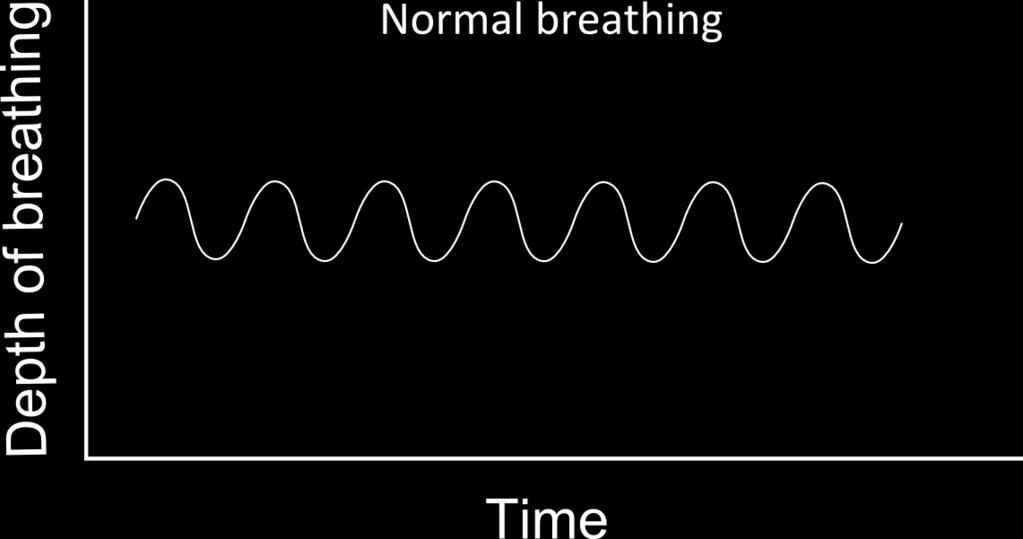 Respiratory System - Tidal Volume