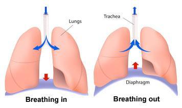 Breathing vs.