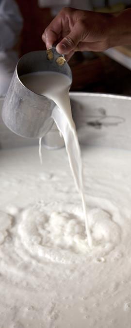 The influence of temperature Bacterial development in raw milk CFU/ml 900 500