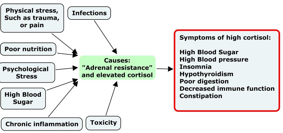 Cortisol Never assume cortisol is