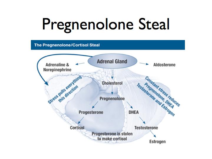 Prolonged stress can reinforce pregnenolone to