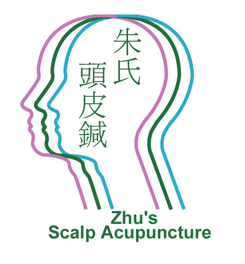 Zhu s Scalp Acupuncture Conference on Upper Extremity Paralysis Stroke Rehabilitation Upper - Lower Extremity Paralysis Dysphagia & Loss of
