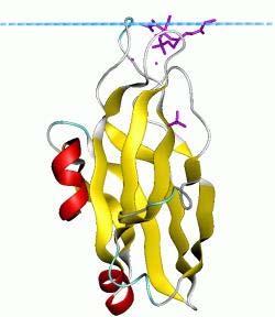 result of protein kinase C signaling modulation