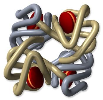 4 globin chains 4 heme molecules Hemoglobin Heme molecule