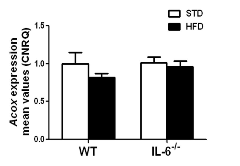 SUPPLEMENTARY FIGURES Figure S1. Effect of a HFD on the Acox gene expression in the livers of WT and IL-6 -/- mice.