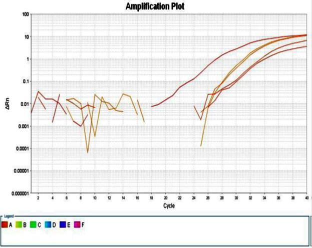 Nazemi et al. Measurement of aflatoxins using HPLC method No aflatoxins were extracted in sample 1 (negative control).