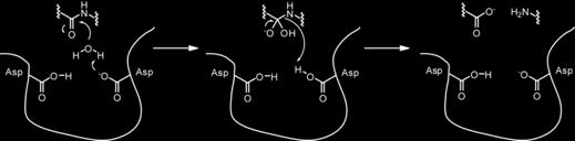 water hydroxyl-anion