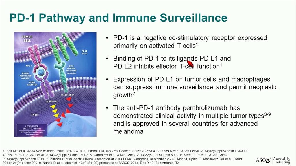 PD1 Pathway and Immune Surveillance Tumor cell T-cell v PD-1 is a negative co-stimulatory receptor primarily expressed on activated B- cells v Binding of PD-1 to its ligands PDL-1 and PDL-2 inhibits